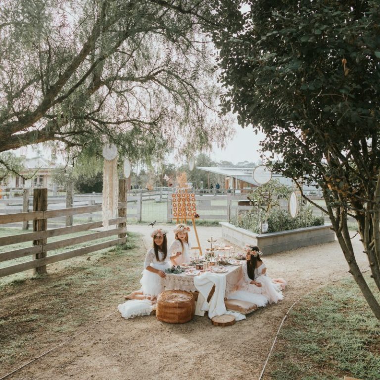 Vintage Caravan & Picnic Hire Melbourne Little Mouse Tea House